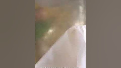 Bách Hóa Xanh thừa nước đục thả câu là đây