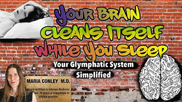 Je hersenen reinigen zichzelf terwijl je slaapt: je glymfatische systeem vereenvoudigd