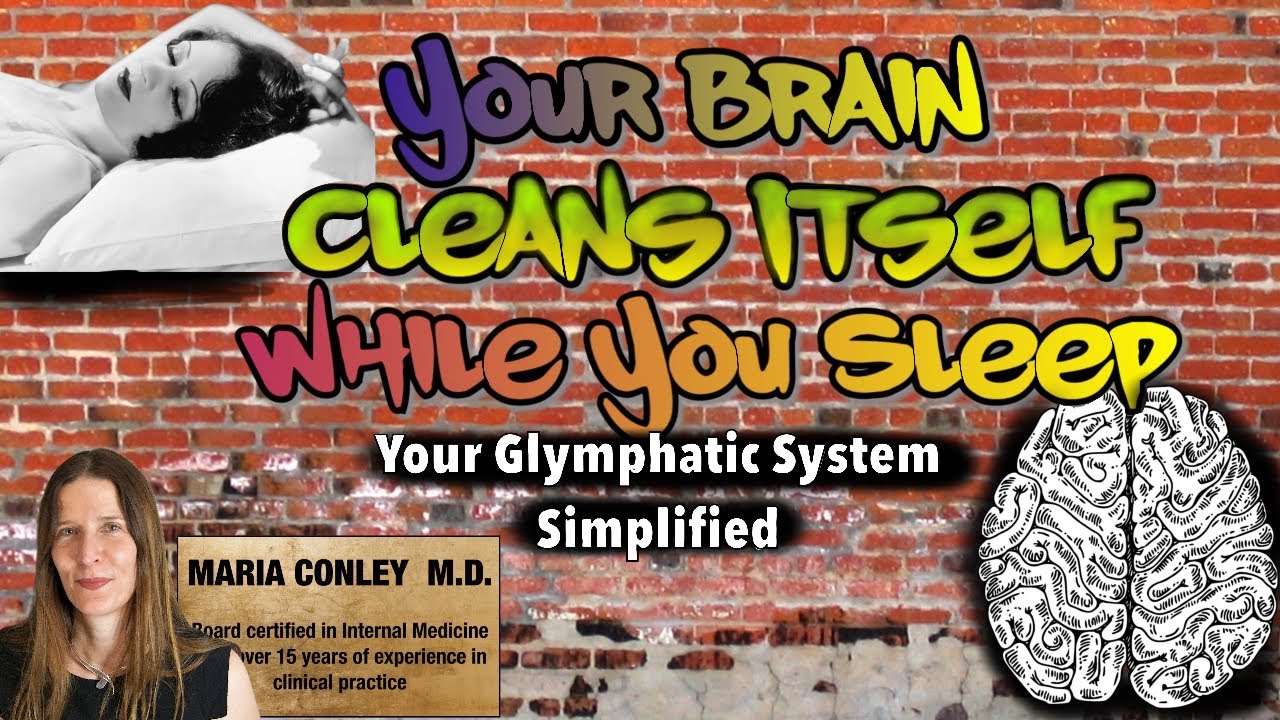 Your Brain Cleans Itself While You Sleep: Your Glymphatic System ...