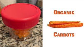 Baby Food to Avoid Constipation ~ How to Make Carrot Puree ?