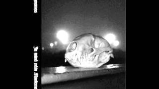 Ruttokosmos - Kuoleman rakkikoira