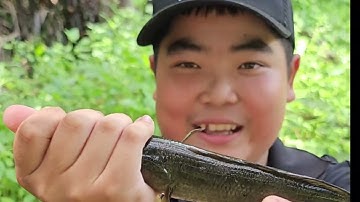 Lên đầu cồn câu cá