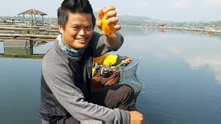 UCUY CIHUY | FISHING IN CIRATA STRIKES UNIQUE FISH | WITH BASELINI BANANA FISHING