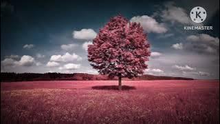 Shivam The Hiden Warrior | Ep - 1141 , 1150 | Shivam The Hidden Warrior Full Episode | Pocket Fm 