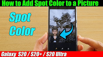Galaxy S20/S20+: How to Add Spot Color to a Picture