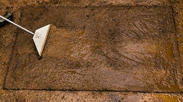 I Cleaned An EXTREMELY DIRTY Rug NO ONE Dared To Touch...