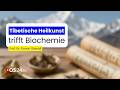 Die Kraft der tibetischen Heilpflanzen und deren alkoholfreie Extraktion | Naturmedizin | QS24