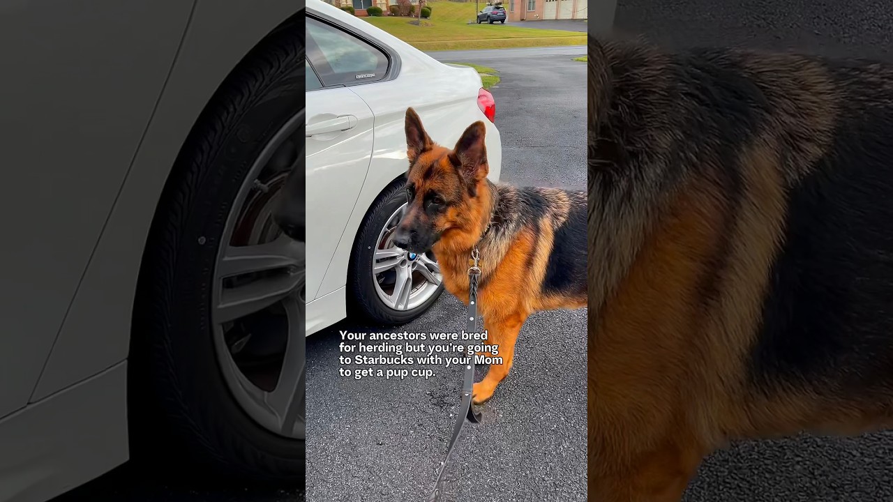 His G-L-A-M-O-R-O-U-S life. 