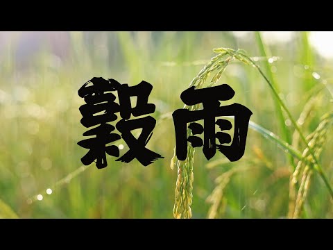 【戴老師說節氣時間】廿四節氣～穀雨