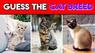 Cat Breed Quiz 🐱 Top 15 Trivia Questions with Answers - Quiz Taco