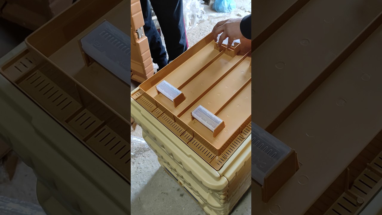 حصريا الخلية التركية ابي ماي في تلمسان