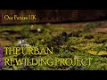 Bristols garden rewilding project documentary