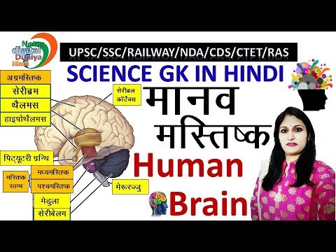 मानव मस्तिष्क | Human Brain | Science Gk in Hindi | SSC | Gk in Hindi | Science Gk | Brain