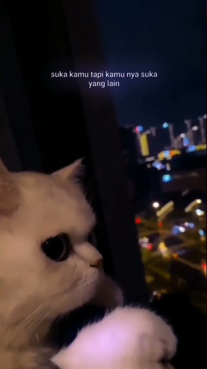 STORY WA DJ QUOTES 15 DETIK||STORY WA QUOTES JEDAG JEDUG KEREN