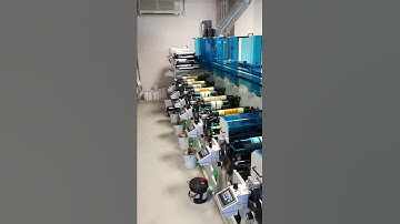 Used Lombardi Flexoline 330 Label printing machine