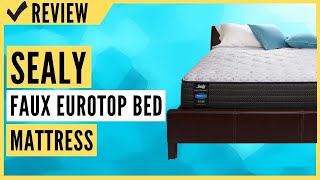 Sealy Posturepedic Spring Summer Rose Faux Eurotop Bed Mattress Review