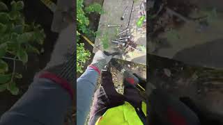 Overgrown Grass and Bushes Cleared from Difficult Corners | RM&K Services