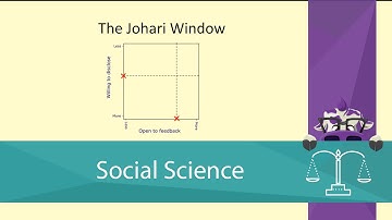 The Johari Window