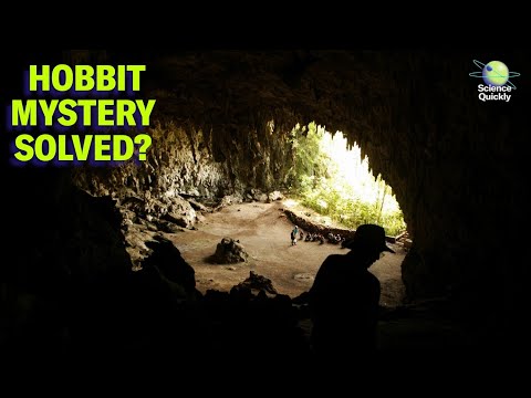 Hobbit disappearance explained, second-hottest year looms, new Mpox variant found