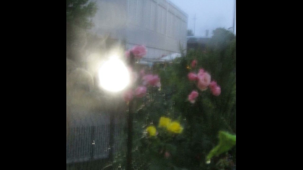 Nsqk x Latin Mafia Type beat R&B Botanica chill Type Beat -