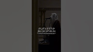 القارئ محمد أباالحسن || تلاوة من سورة النمل #محمد_أبالحسن #اكسبلور #تيك_توك