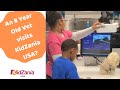 Kidzania usa in frisco tx and an 8 year old vet