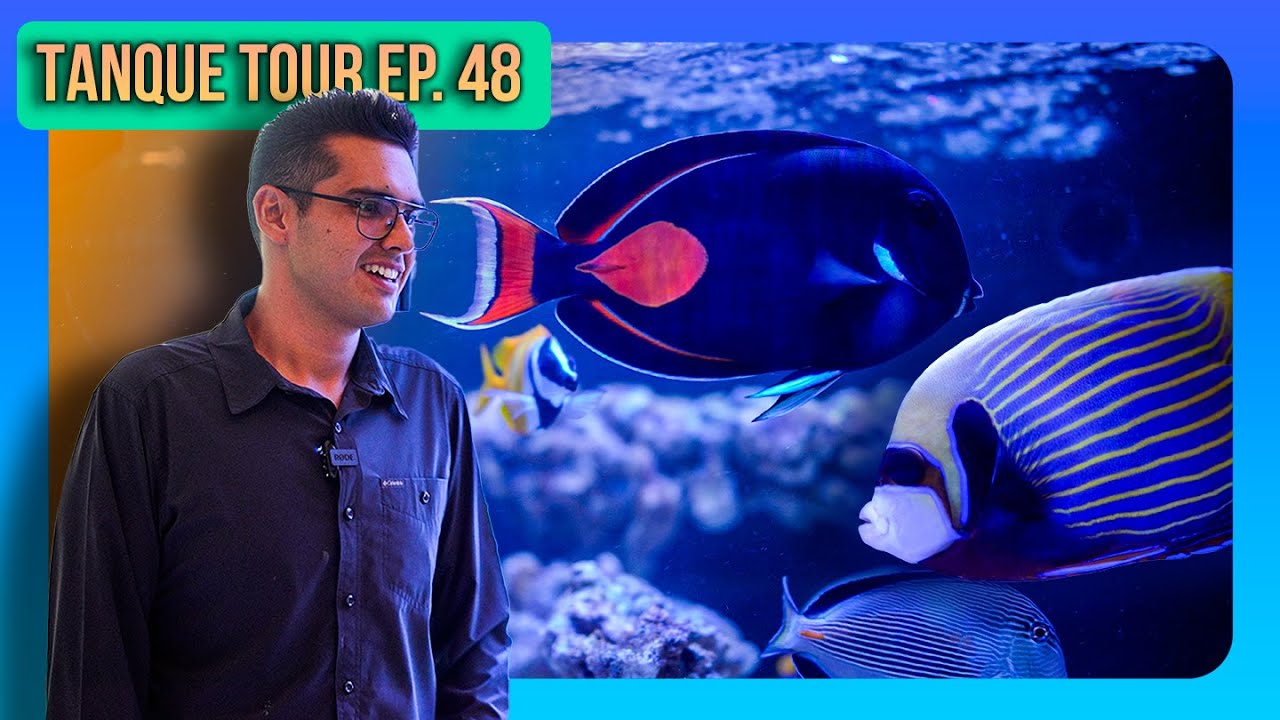 TANQUE TOUR Ep. 48 / Mauricio Guarneros | OSO REEF