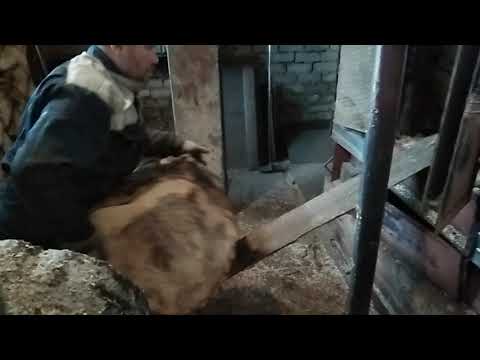 Кочегар - профессия не из легких