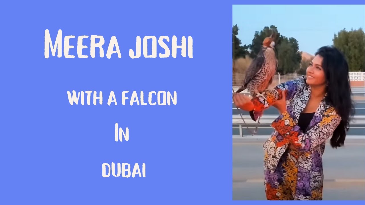 Meera Joshi | Dubai | United Arab Emirates | Desert Safari | Falcon Bird | Peregrine Falcon l2021