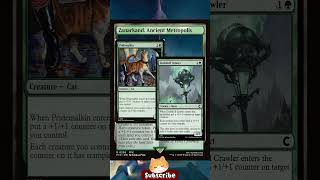 Budget Utility Lands 214 #mtg #mtg #budget #utilityland #統率者#commander