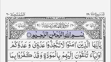 Surah Al-Mumtahanah 60 [ The Tested ] سورة الممتحنة | Quran scrolling | By Imam Faysel Muhammad