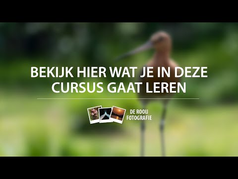 Online fotografie cursus - Dit leer jij in onze online basiscursus