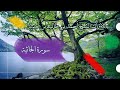سورة الجاثية بصوت القارئ احمد بن طالب