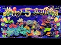 Happy birt.ay this sps reef tank is five years old today
