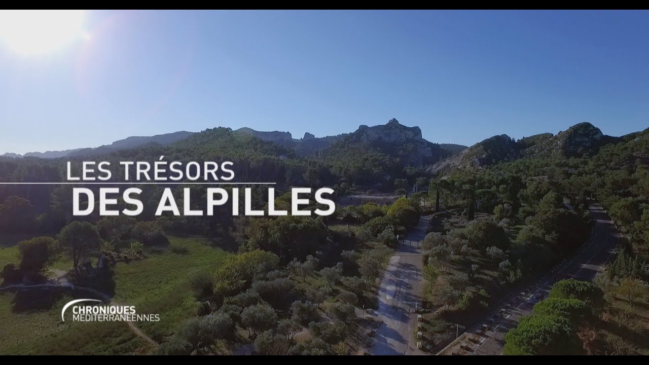 CHRONIQUES MÉDITERRANÉENNES - Les Trésors des Alpilles