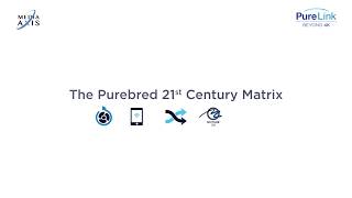Media Axis - The Purebred 21st Century Matrix