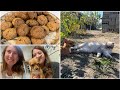 Конец октября на Кубани. День рождения
