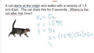 Constant Velocity - How to use the Constant Velocity equation