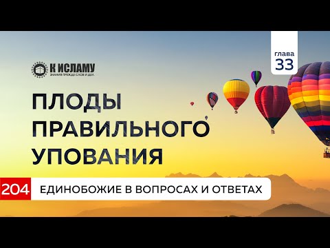 Вопрос 204. Плоды правильного упования. Единобожие в вопросах и ответах