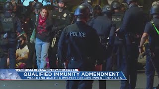 Group again seeks to place qualified immunity amendment on November ballot