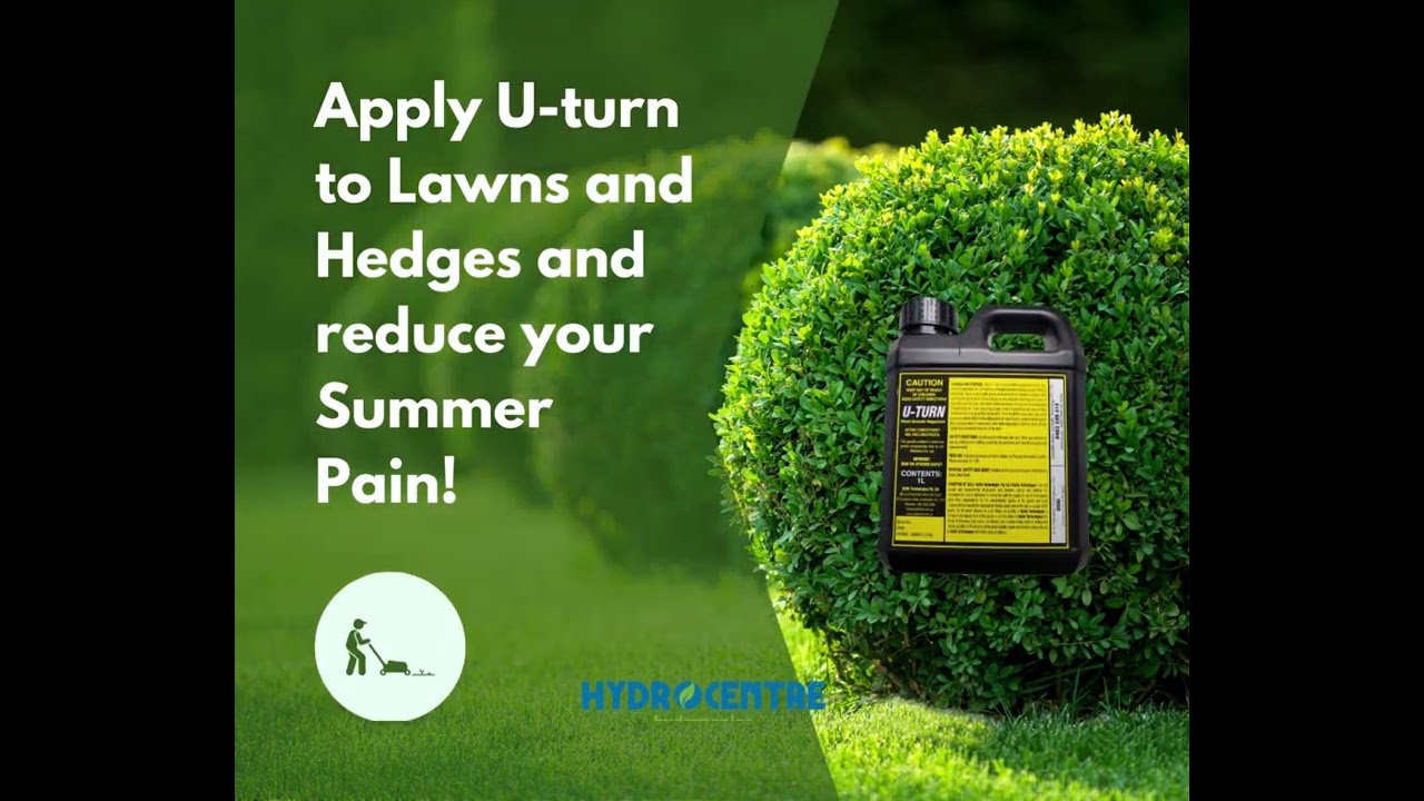 Don't spend all of your time mowing the yard, enjoy it instead!