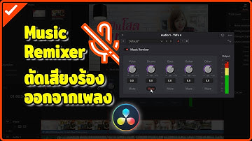 ตัดเสียงร้องออกจากเพลงด้วย Music Remixer ( DaVinci Resolve 19 Studio )