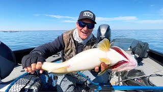 POSSIBLY THE BEST 4 WALLEYE BAITS EVER! (Spring Walleye Fishing)