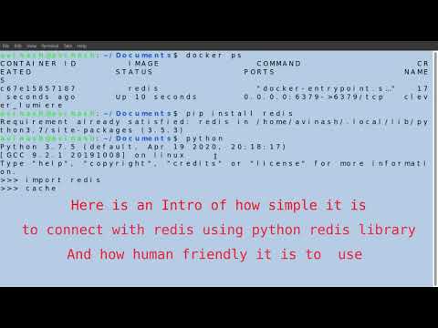 How to access dockerised Redis Database from outside the container using Python
