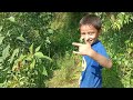 jungle