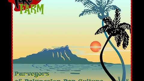 Tiki Farm - Website Flash Intro - Circa 2001-2002.