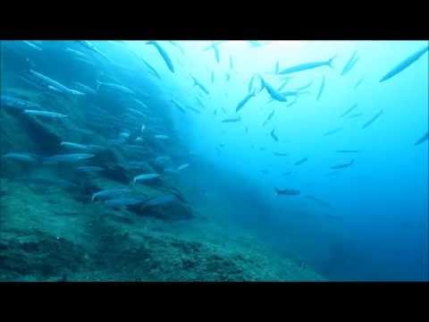Un 14 de Septembre...Odyssub