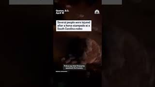 Several injured after stampede at a South Carolina rodeo