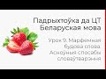 БЕЛАРУСКАЯ МОВА | ЦТ-2022. Урок 9. Марфемная будова слова. Асноўныя спосабы словаўтварэння