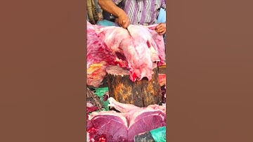 Breaking Down a Beef Forequarter by Hand!#shorts